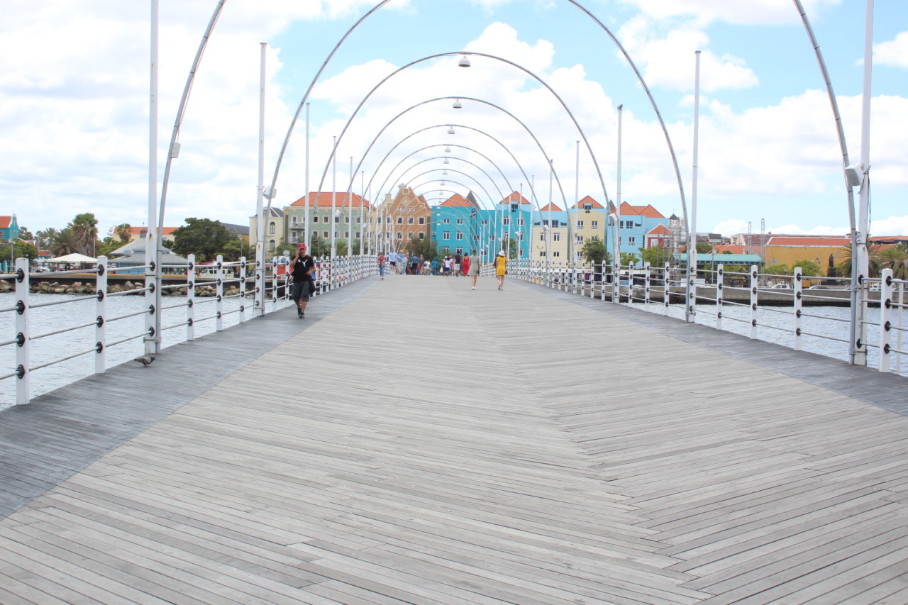 Scaled image IMG_1515.JPG 