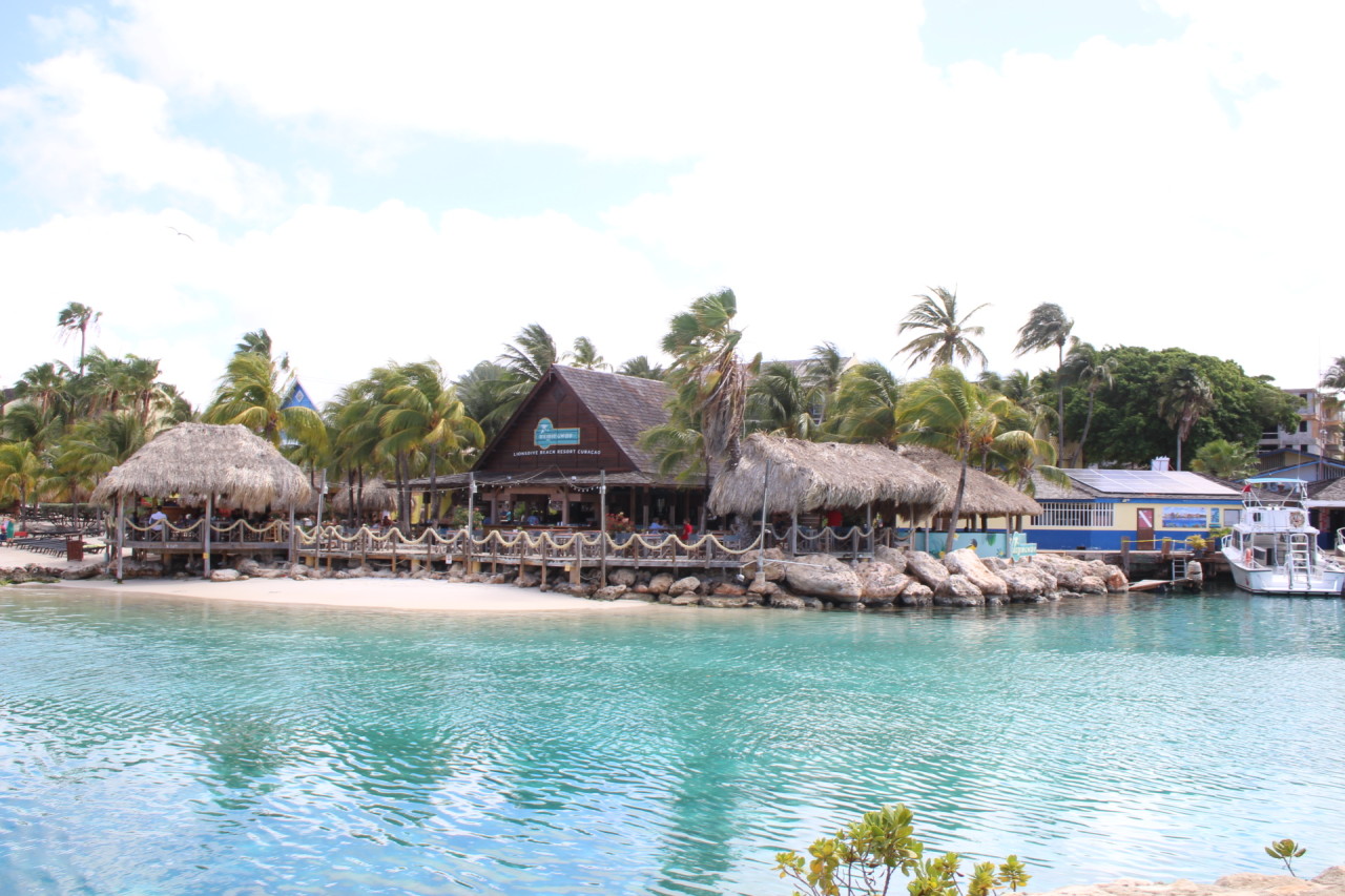 Scaled image IMG_1531.JPG 