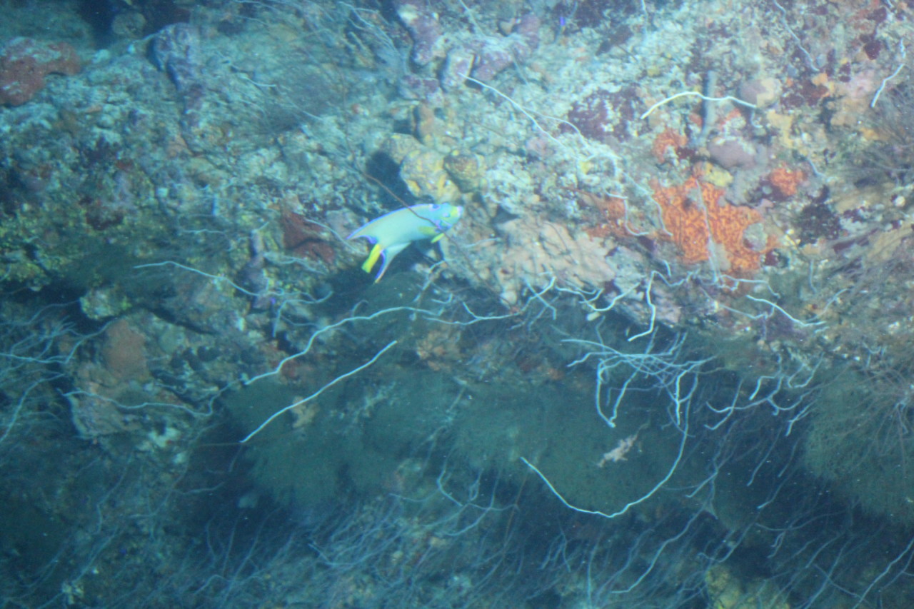 Scaled image IMG_1614.JPG 