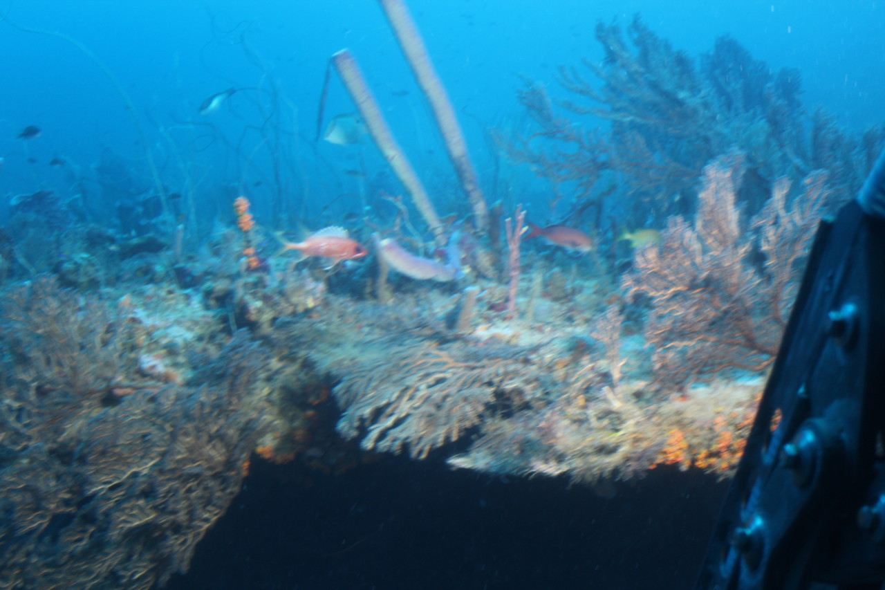 Scaled image IMG_1623.JPG 