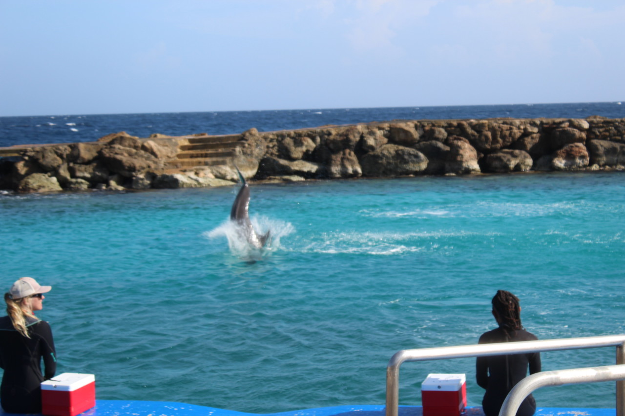 Scaled image IMG_1649.JPG 