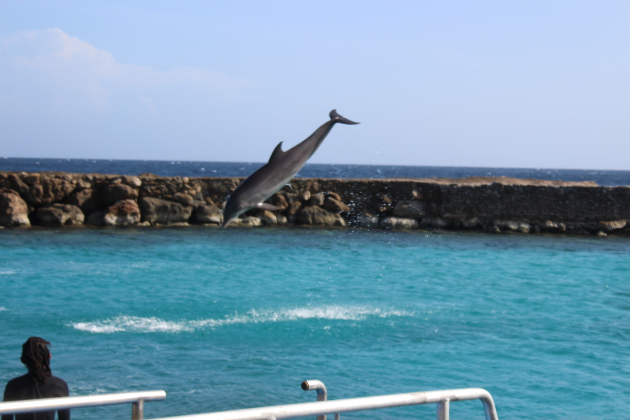 Scaled image IMG_1650.JPG 