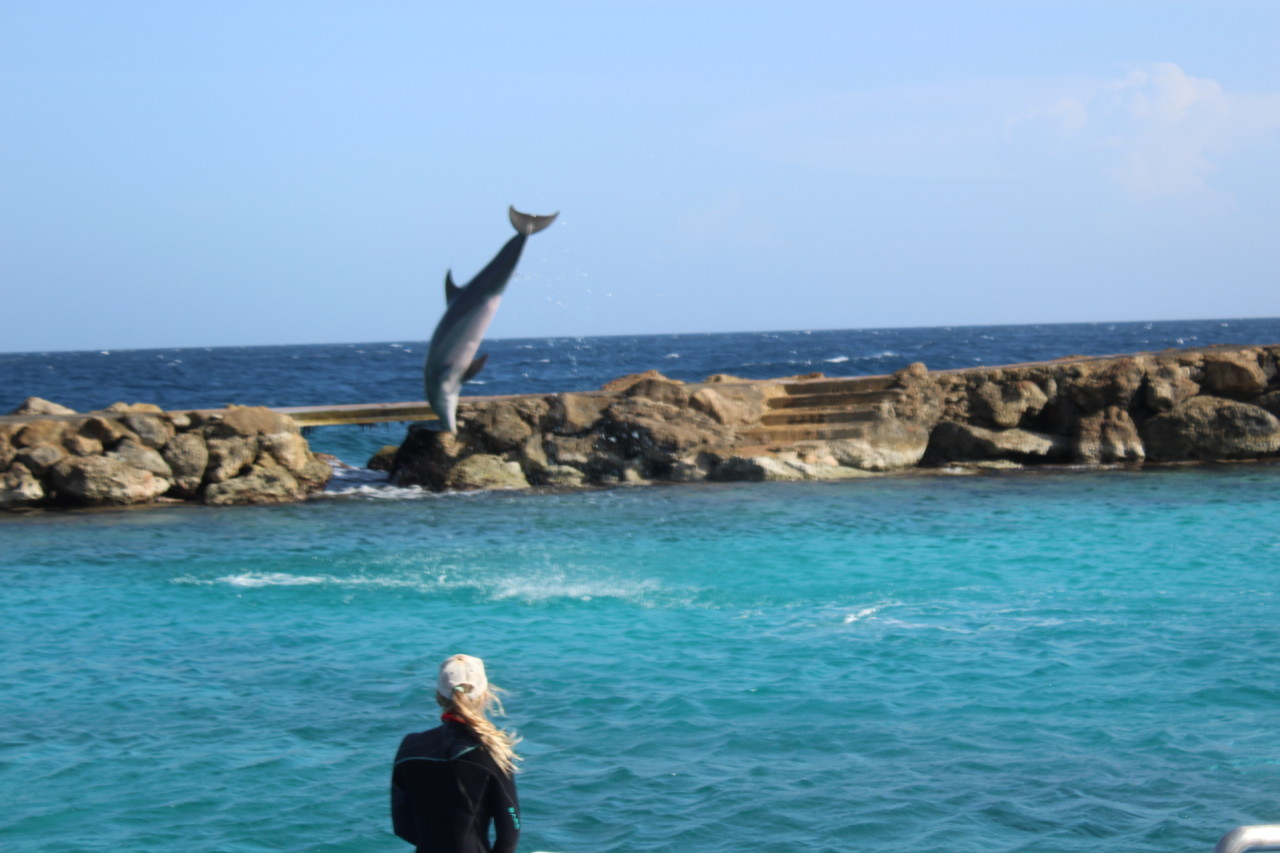 Scaled image IMG_1651.JPG 