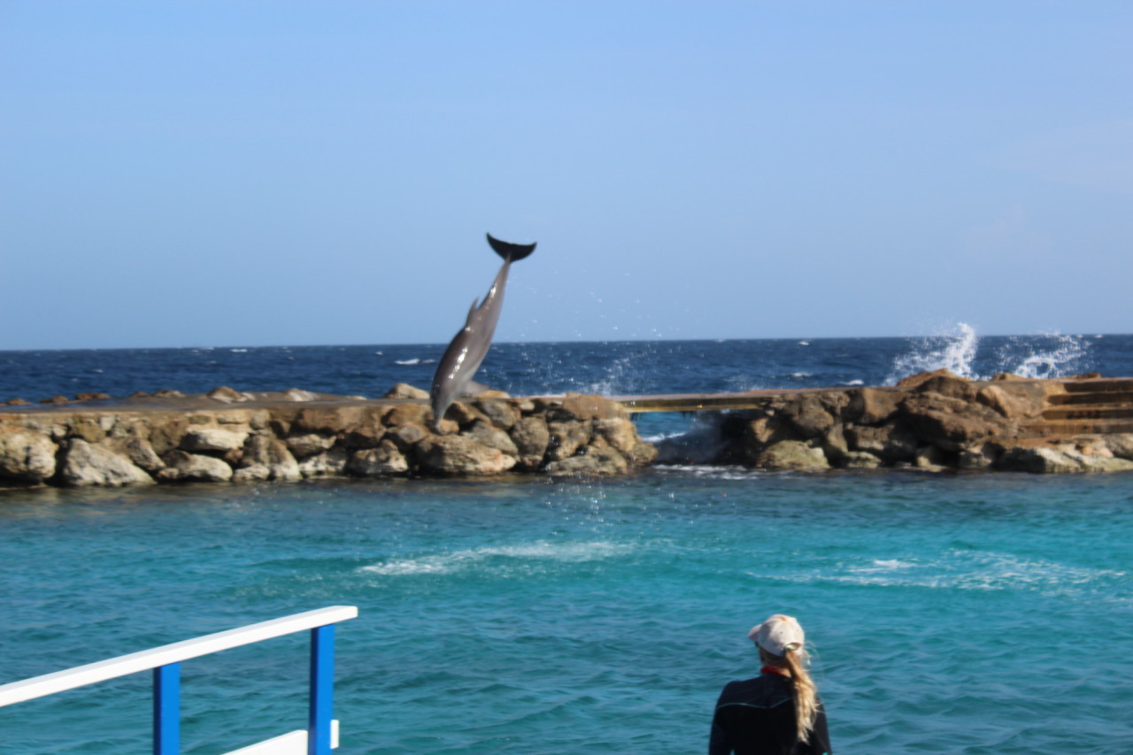 Scaled image IMG_1652.JPG 