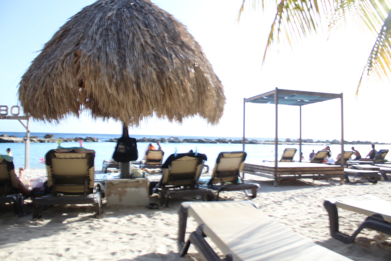 Scaled image IMG_1675.JPG 