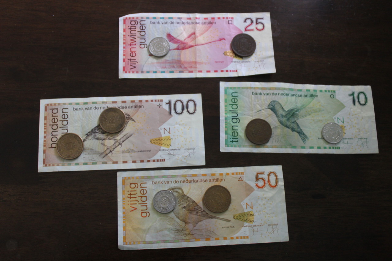 Scaled image IMG_1679.JPG 