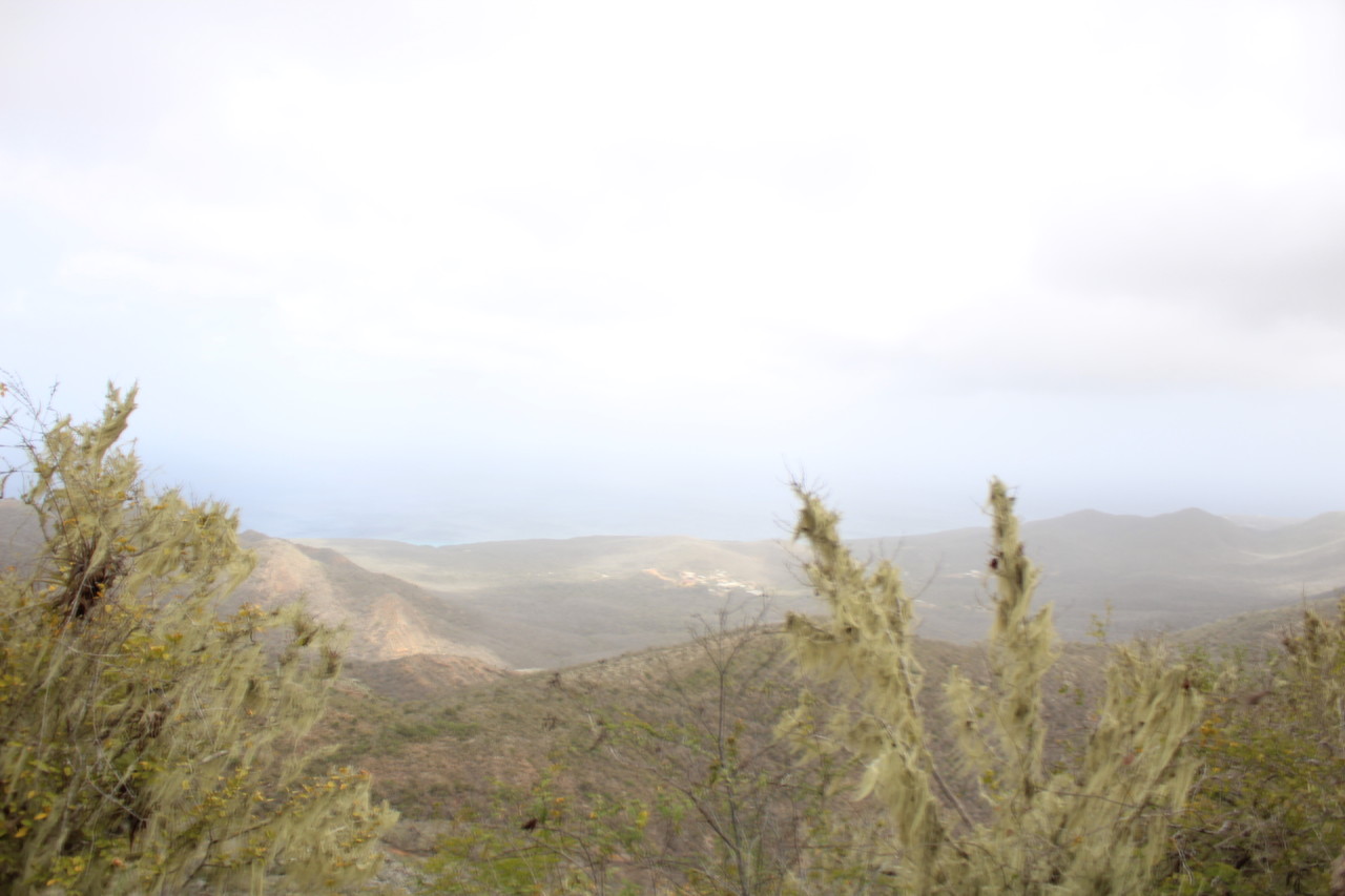 Scaled image IMG_1705.JPG 