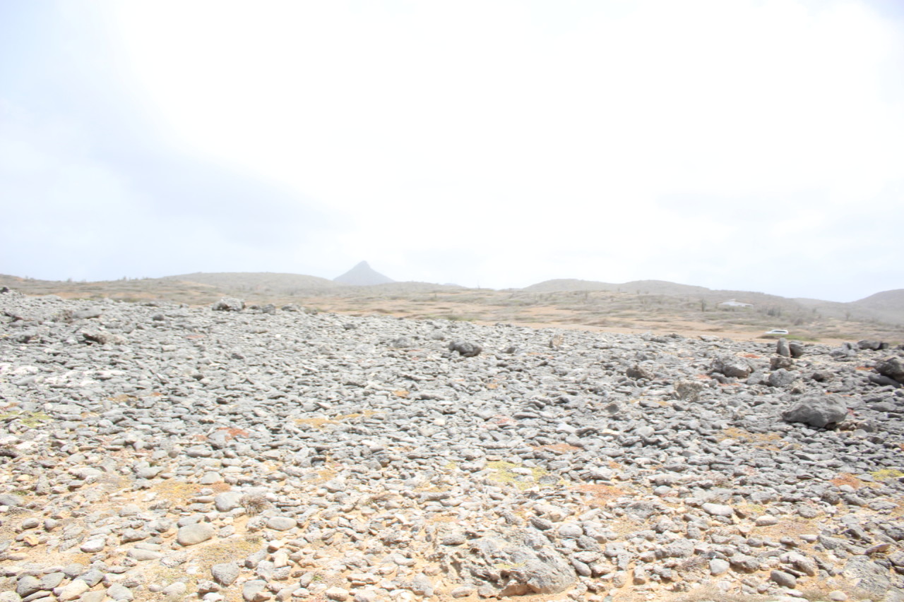 Scaled image IMG_1740.JPG 