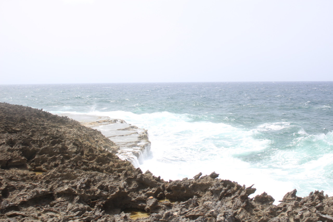 Scaled image IMG_1741.JPG 