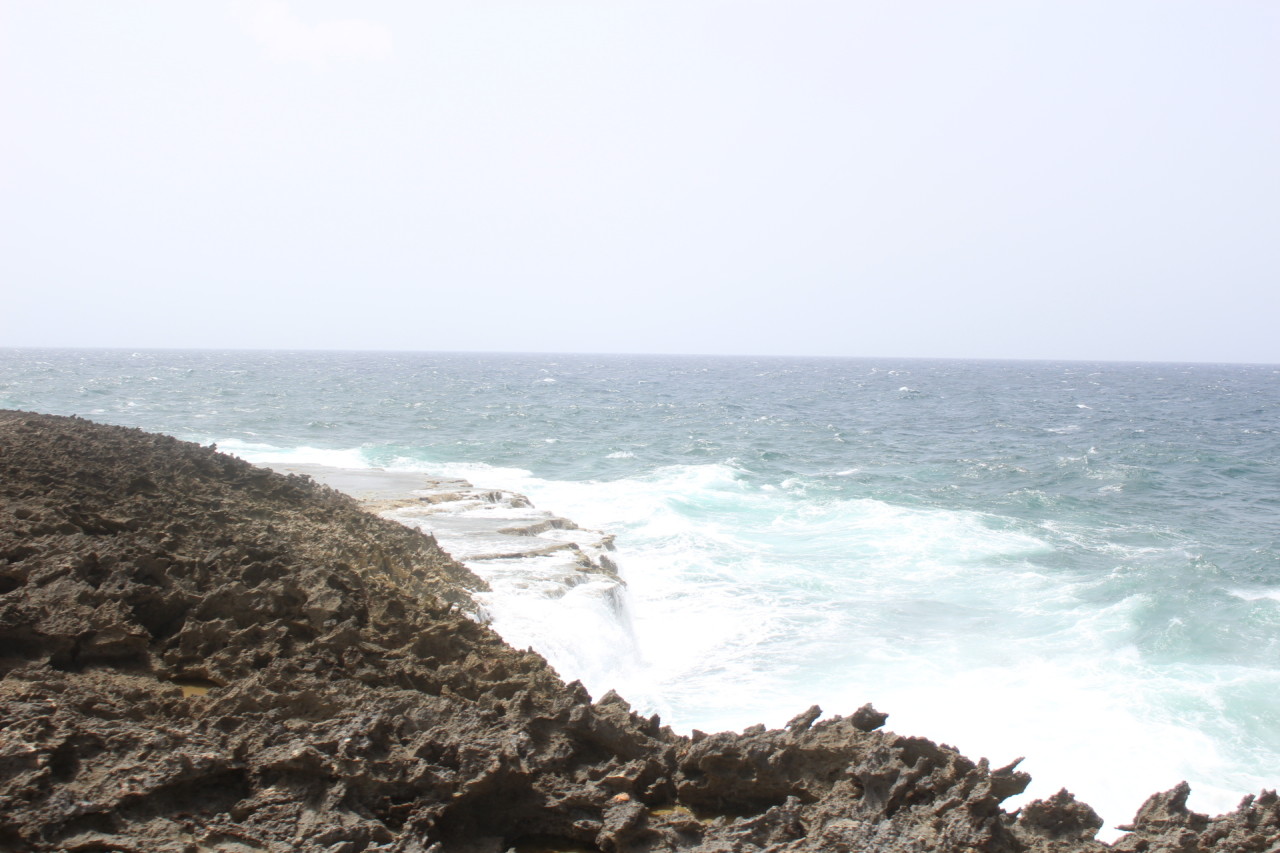 Scaled image IMG_1742.JPG 