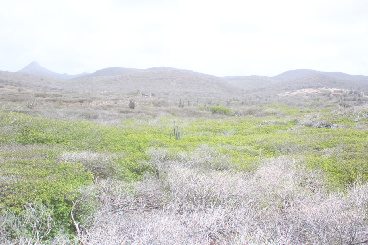 Scaled image IMG_1761.JPG 