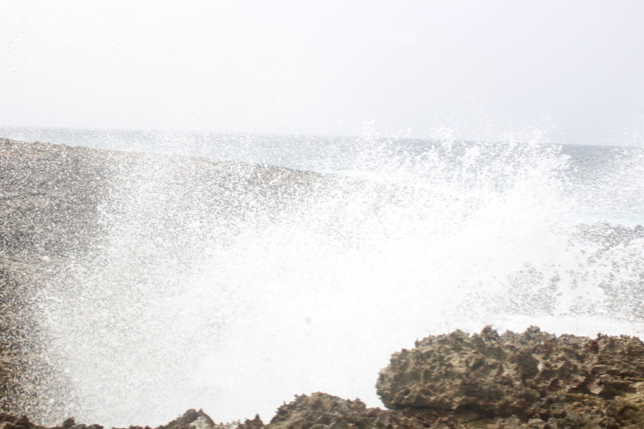 Scaled image IMG_1769.JPG 