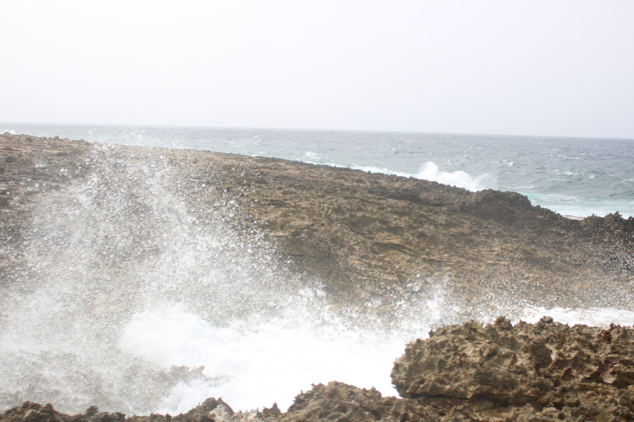 Scaled image IMG_1770.JPG 