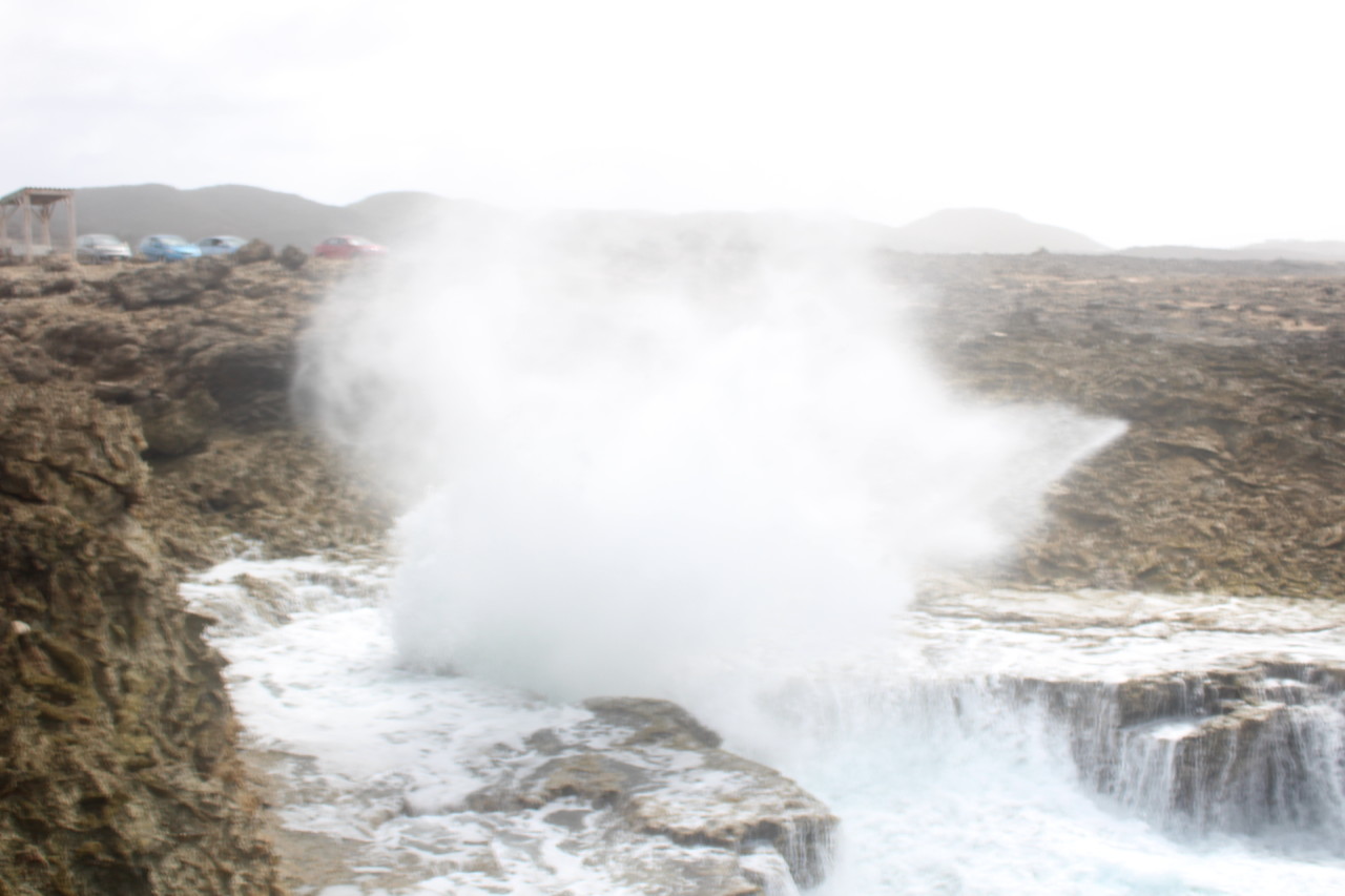 Scaled image IMG_1781.JPG 