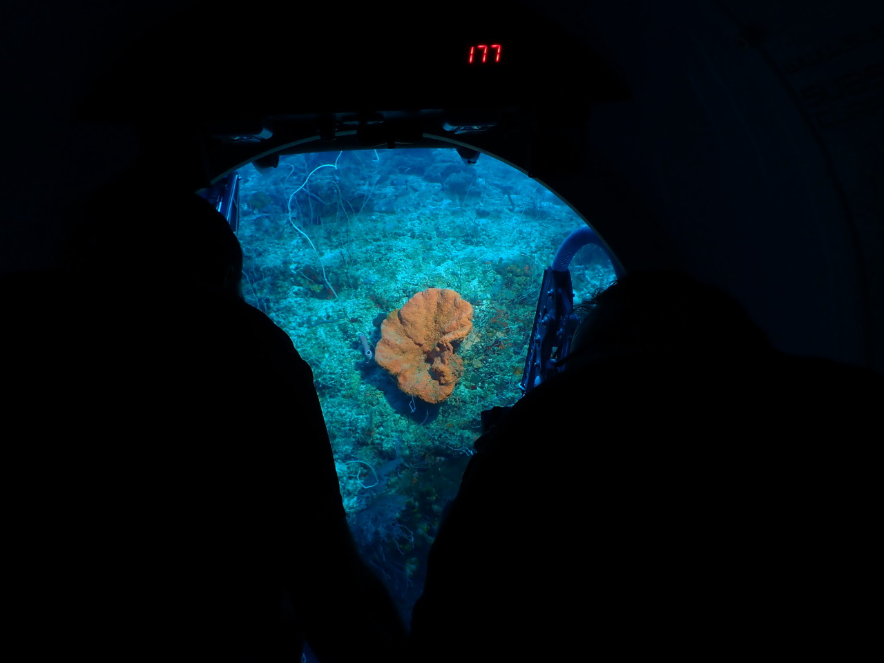 Scaled image P6040073.JPG 