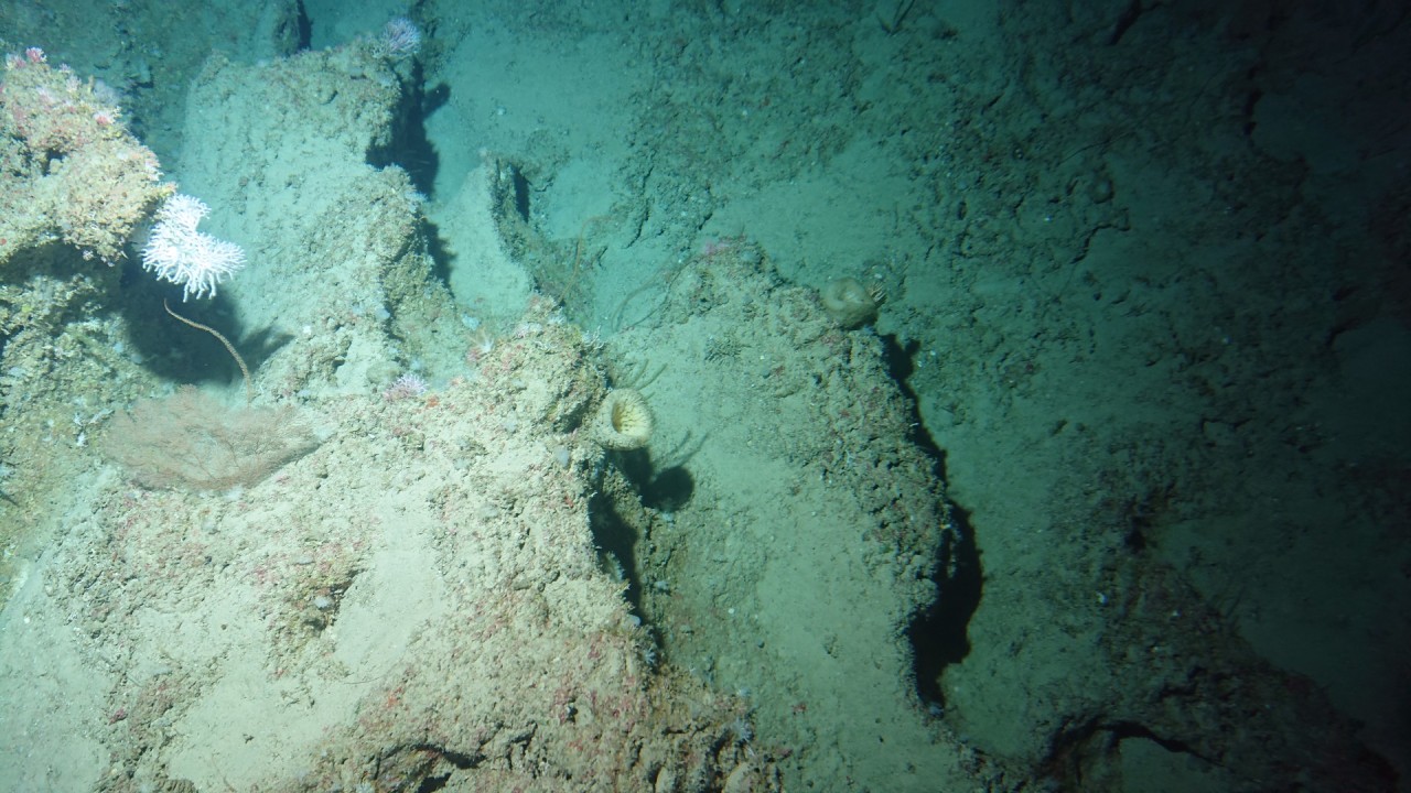 Scaled image klein.DSC_1015.JPG 