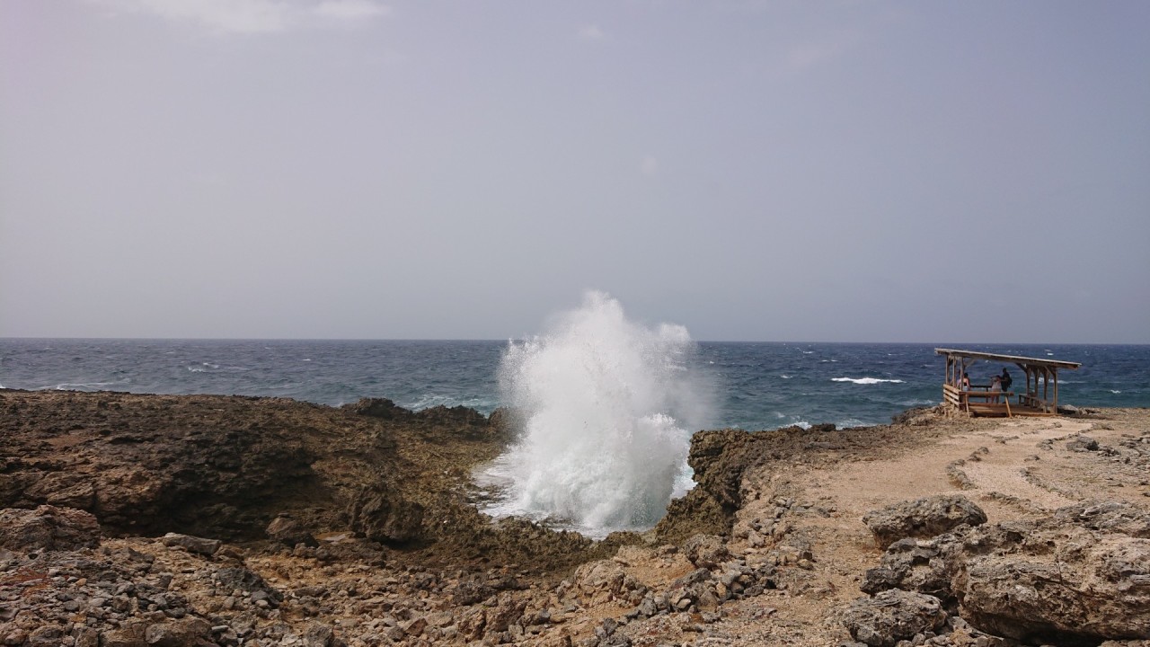 Scaled image klein.DSC_1097.JPG 