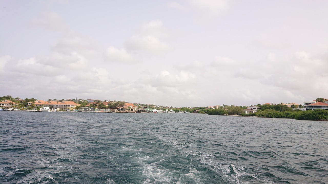 Scaled image klein.DSC_1119.JPG 