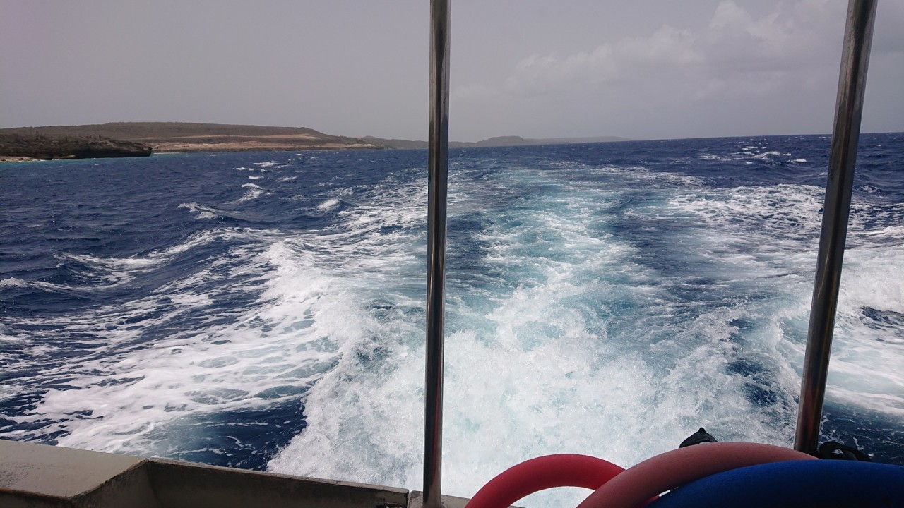 Scaled image klein.DSC_1151.JPG 