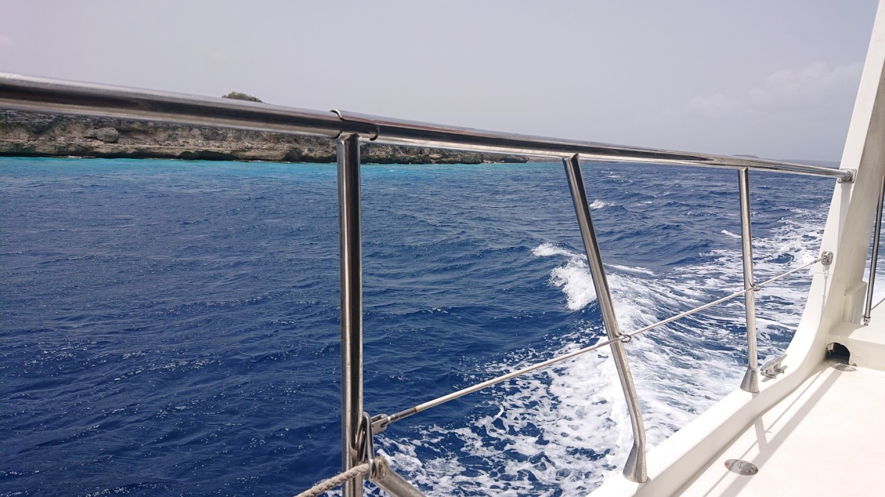 Scaled image klein.DSC_1154.JPG 