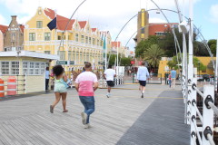 Thumbnail IMG_1516.JPG 