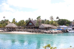 Thumbnail IMG_1531.JPG 