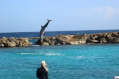 Thumbnail IMG_1651.JPG 