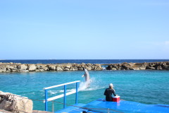 Thumbnail IMG_1663.JPG 