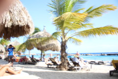 Thumbnail IMG_1673.JPG 