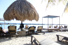 Thumbnail IMG_1675.JPG 