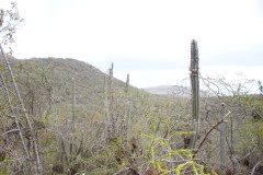 Thumbnail IMG_1696.JPG 