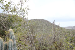 Thumbnail IMG_1697.JPG 