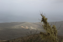 Thumbnail IMG_1704.JPG 