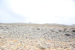 Thumbnail IMG_1740.JPG 