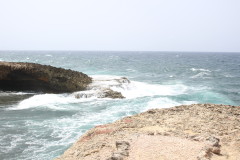 Thumbnail IMG_1743.JPG 