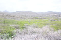 Thumbnail IMG_1761.JPG 