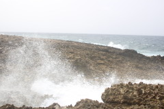 Thumbnail IMG_1770.JPG 