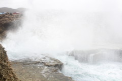 Thumbnail IMG_1778.JPG 