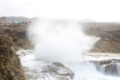 Thumbnail IMG_1781.JPG 