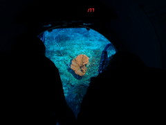 Thumbnail P6040073.JPG 