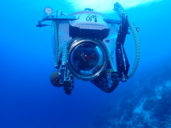 Thumbnail S1200012.JPG 