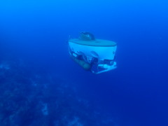 Thumbnail S1200026.JPG 