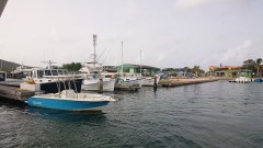 Thumbnail klein.DSC_1118.JPG 