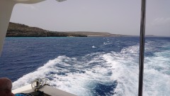 Thumbnail klein.DSC_1153.JPG 