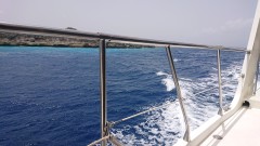 Thumbnail klein.DSC_1154.JPG 