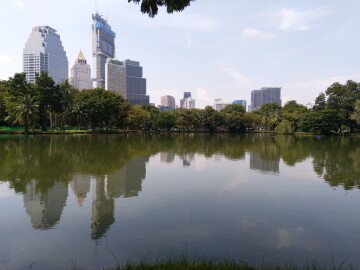 Thumbnail resized_IMG_20251110_115454.jpg 