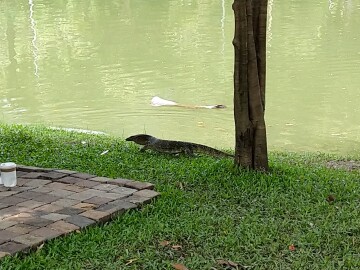 Thumbnail resized_IMG_20251110_121139.jpg 