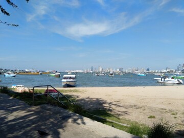 Thumbnail resized_IMG_20251114_142350.jpg 