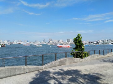 Thumbnail resized_IMG_20251114_143325.jpg 